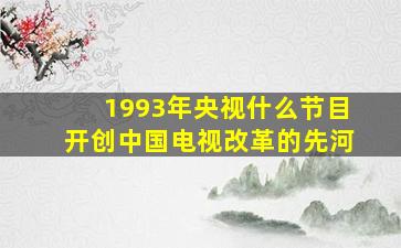 1993年央视什么节目开创中国电视改革的先河