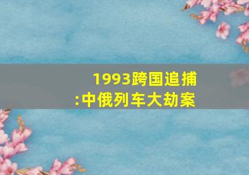 1993跨国追捕:中俄列车大劫案