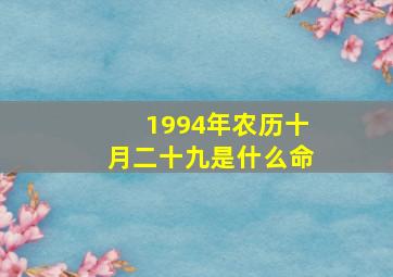 1994年农历十月二十九是什么命