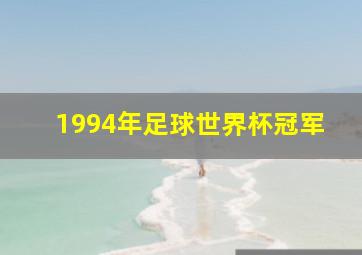 1994年足球世界杯冠军