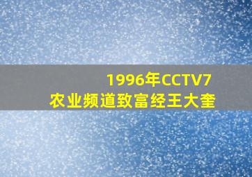 1996年CCTV7农业频道致富经王大奎