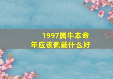 1997属牛本命年应该佩戴什么好