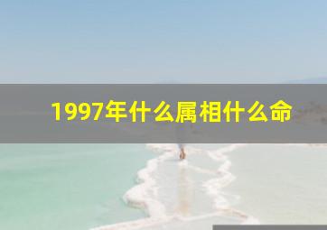 1997年什么属相什么命