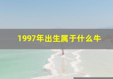 1997年出生属于什么牛