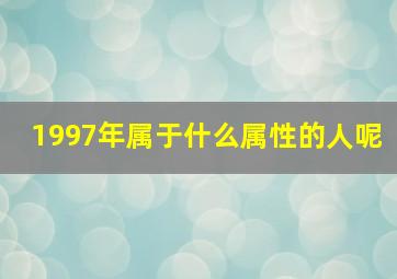 1997年属于什么属性的人呢