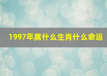 1997年属什么生肖什么命运