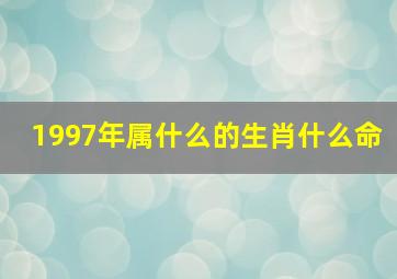 1997年属什么的生肖什么命