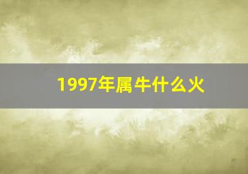 1997年属牛什么火