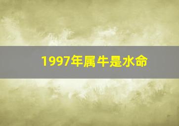 1997年属牛是水命