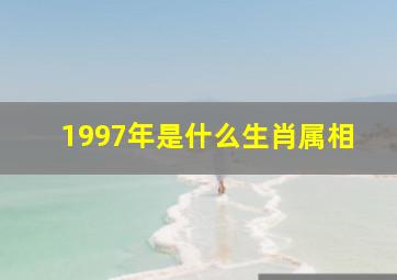 1997年是什么生肖属相