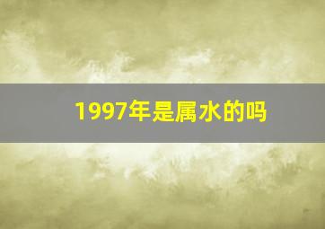 1997年是属水的吗