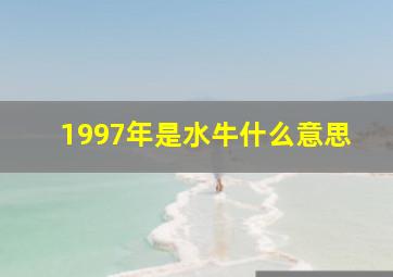 1997年是水牛什么意思