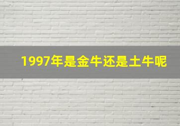 1997年是金牛还是土牛呢