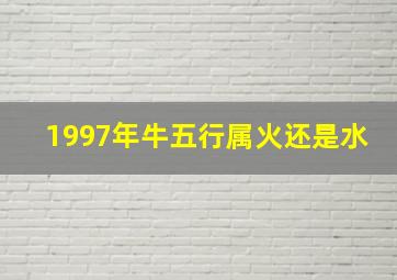 1997年牛五行属火还是水