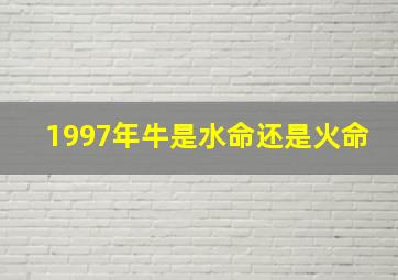 1997年牛是水命还是火命