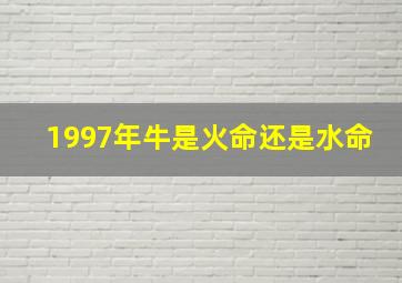 1997年牛是火命还是水命