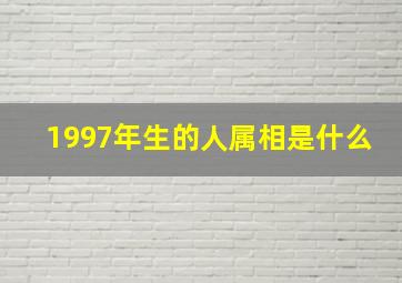 1997年生的人属相是什么