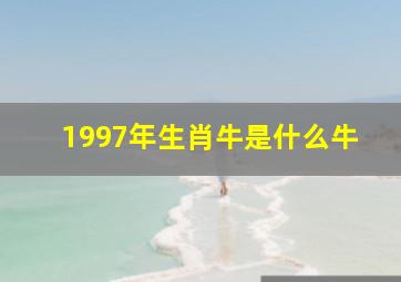 1997年生肖牛是什么牛