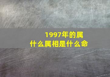 1997年的属什么属相是什么命