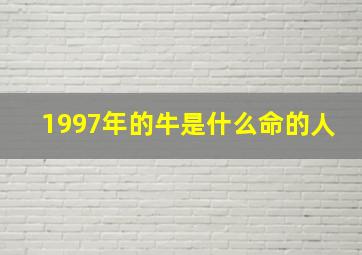 1997年的牛是什么命的人