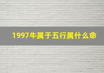 1997牛属于五行属什么命