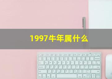 1997牛年属什么