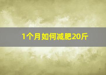 1个月如何减肥20斤