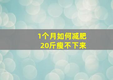 1个月如何减肥20斤瘦不下来