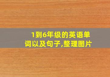 1到6年级的英语单词以及句子,整理图片