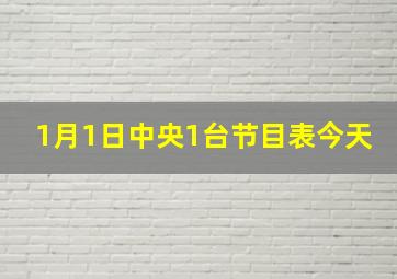 1月1日中央1台节目表今天