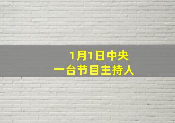 1月1日中央一台节目主持人