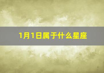 1月1日属于什么星座