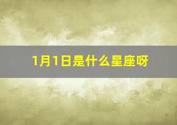 1月1日是什么星座呀