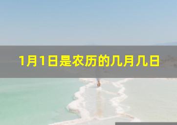 1月1日是农历的几月几日