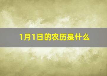 1月1日的农历是什么