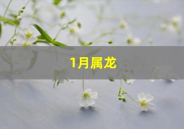 1月属龙