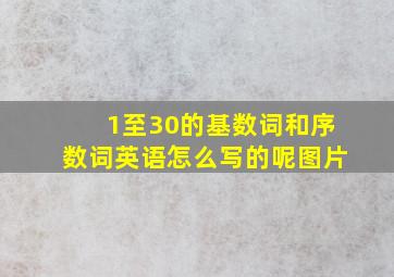 1至30的基数词和序数词英语怎么写的呢图片