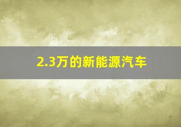 2.3万的新能源汽车