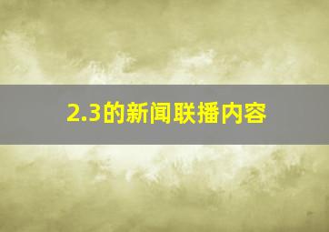 2.3的新闻联播内容