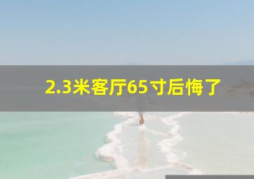 2.3米客厅65寸后悔了