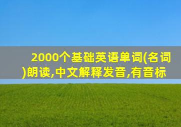 2000个基础英语单词(名词)朗读,中文解释发音,有音标