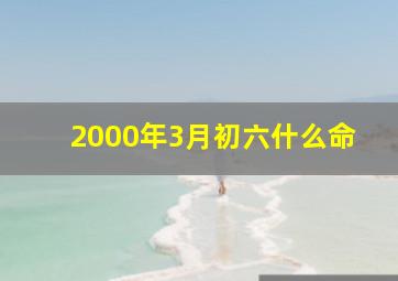 2000年3月初六什么命