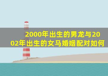 2000年出生的男龙与2002年出生的女马婚姻配对如何