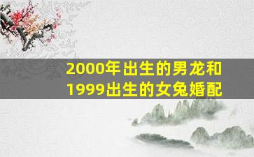 2000年出生的男龙和1999出生的女兔婚配