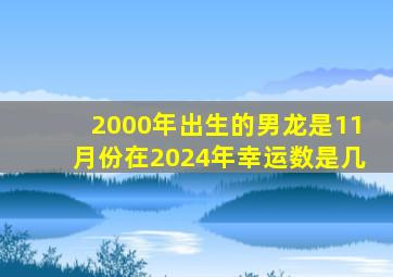 2000年出生的男龙是11月份在2024年幸运数是几