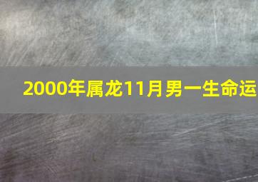 2000年属龙11月男一生命运