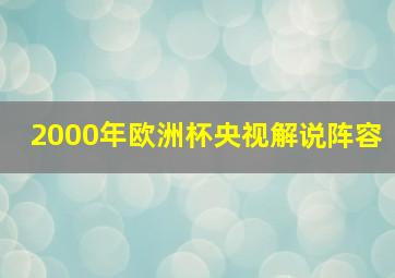 2000年欧洲杯央视解说阵容