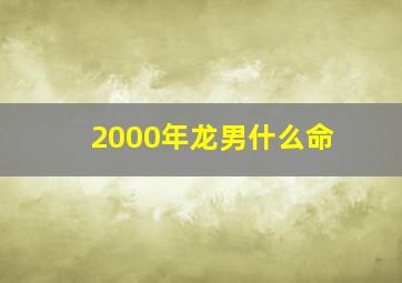 2000年龙男什么命