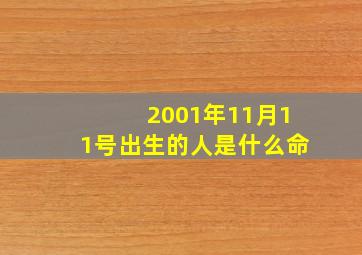 2001年11月11号出生的人是什么命