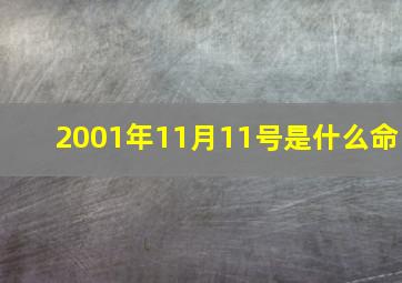 2001年11月11号是什么命